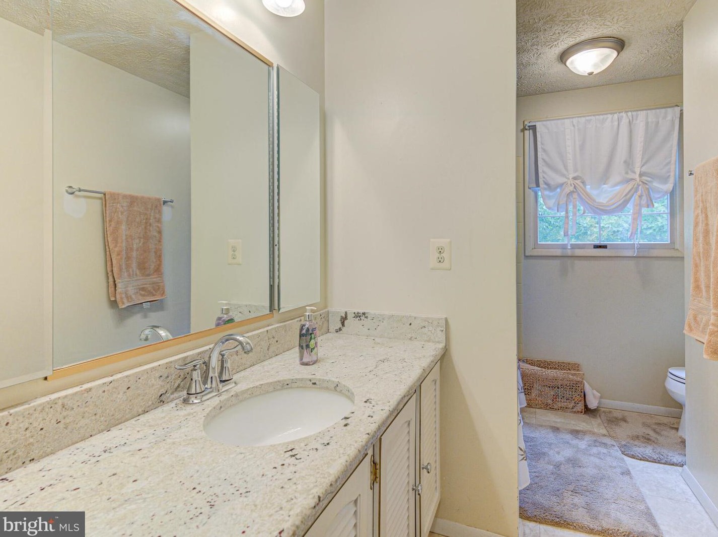 117 Caragana Ct, Dulles VA  20164-2831 exterior