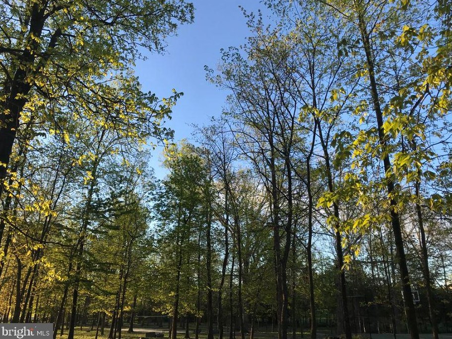 42494 Legacy Park Dr, Ashburn VA  20148-5616 exterior