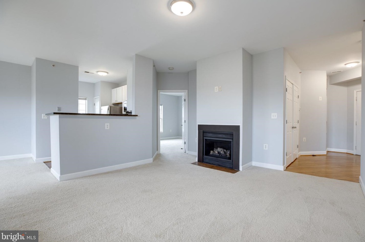 22668 Blue Elder Ter, Ashburn, VA 20148-4833