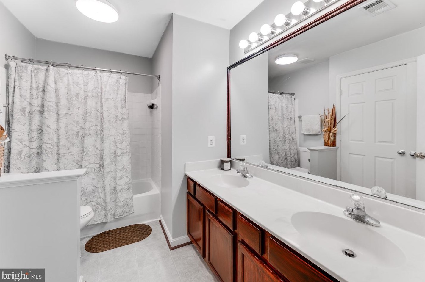 20358 Flushing Meadows Ct, Ashburn VA  20147-3854 exterior