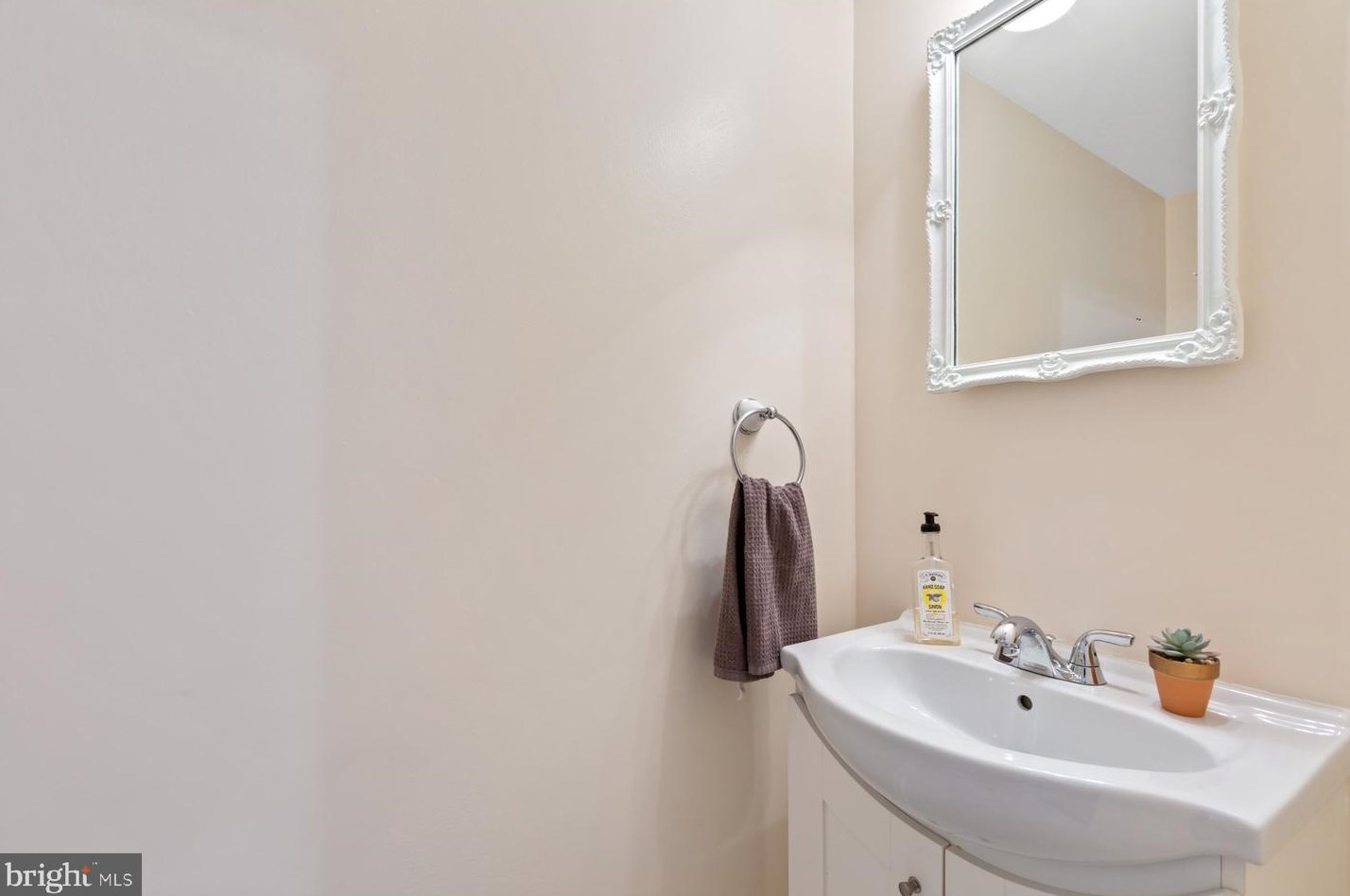 107 Hayloft Ct, Dulles VA  20164-1603 exterior