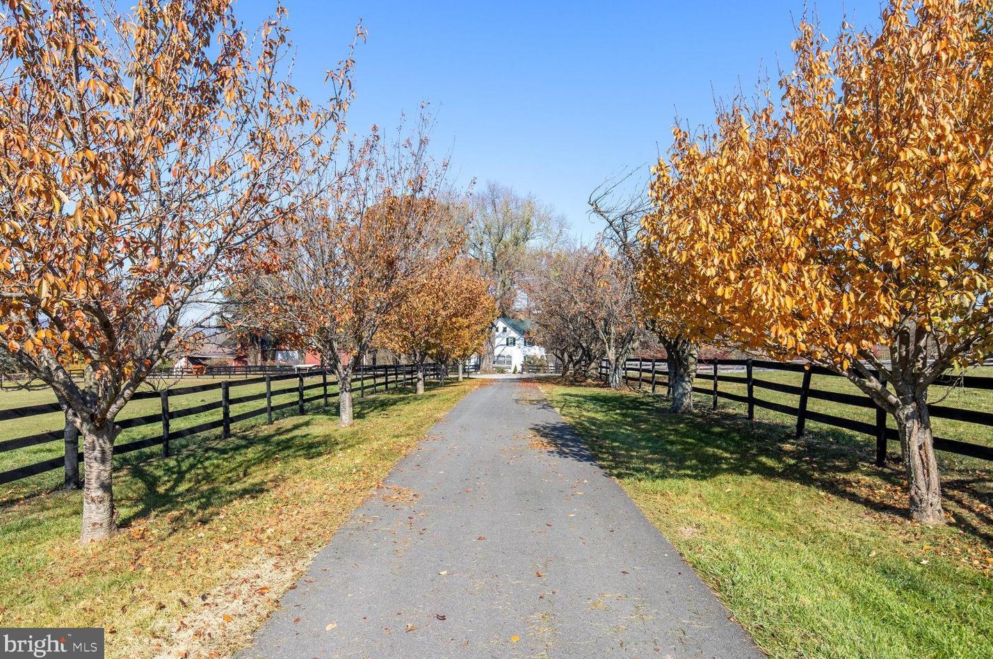 39595 Weatherlea Farm Ln, Lovettsville, VA 20180