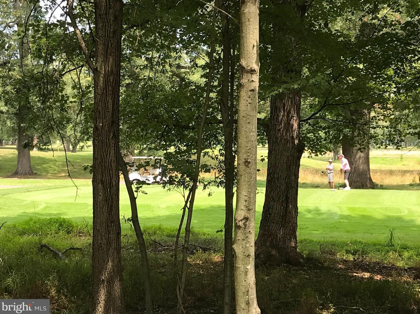 46494 Cedarhurst Dr, Sterling VA  20165-6485 exterior