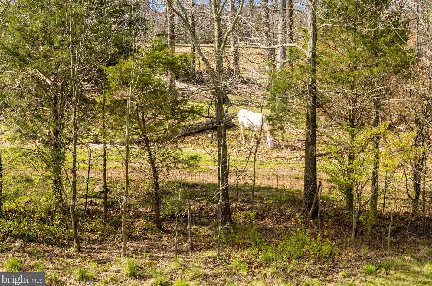 25156 Boomerang Ter, Stone Ridge, VA 20105