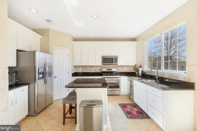 117 Alpine Dr, Leesburg VA  20175-6126 exterior