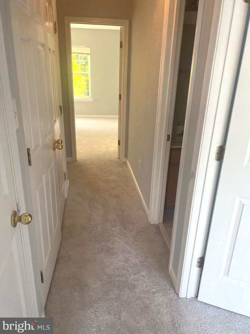 20276 Sprucegrove Sq, Ashburn VA  20147-2390 exterior
