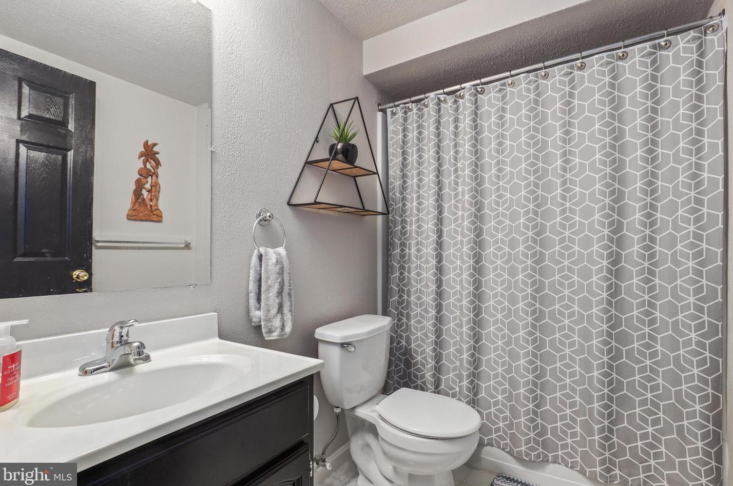 20346 Flushing Mdw Ct, Ashburn VA 20147-3854 exterior