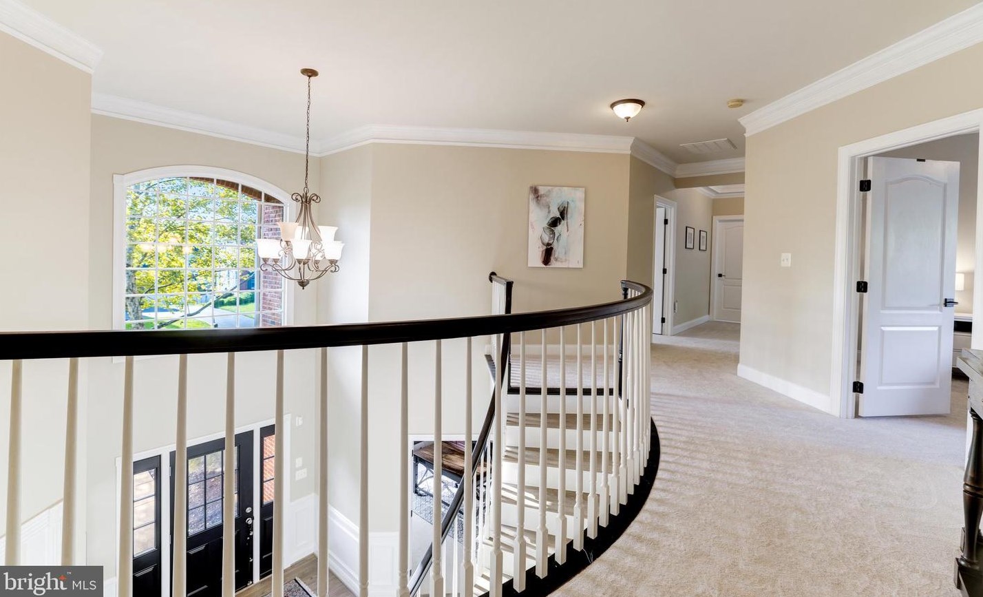 20234 Kentucky Oaks Ct, Ashburn VA 20147-3167 exterior