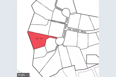 306 Stallion Barn Place, Middleburg, VA 20117 - Photo 2