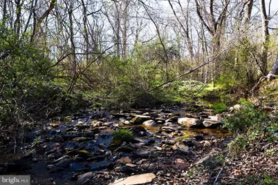 37275 Charles Town, Hillsboro, VA 20132 - Photo 30