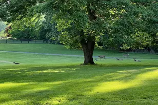 42024 Brightwood Ln, Leesburg, VA 20176 - Photo 68