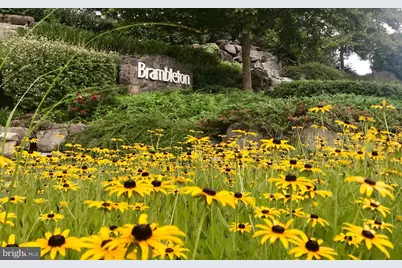 22892 Tawny Pine Square, Ashburn, VA 20148 - Photo 12