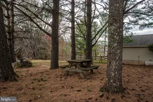 37896 Legard Farm Rd, Hillsboro, VA 20132 - Photo 92