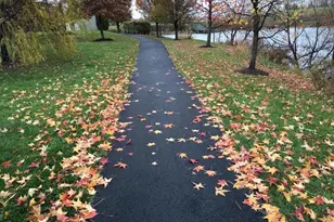 322 Whipp Dr SE, Leesburg, VA 20175 - Photo 42