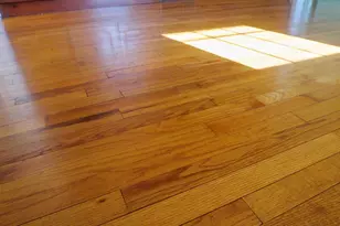 17152 Bridge View Ct, Paeonian Springs, VA 20129 - Photo 16