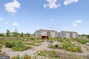 21630 Hawksbill High Cir, Sterling, VA 20164 - Photo 50