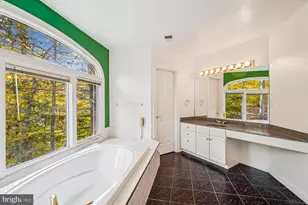 308 Sinegar Pl, Potomac Falls, VA 20165 - Photo 74