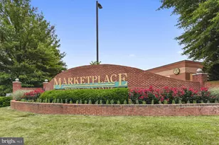 308 Sinegar Pl, Potomac Falls, VA 20165 - Photo 92