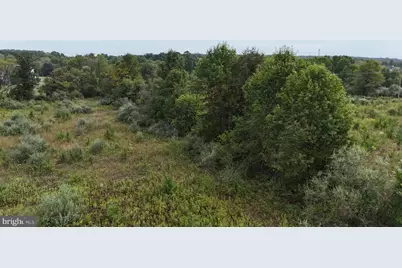 Delta Diamond Lane, Leesburg, VA 20175 - Photo 10