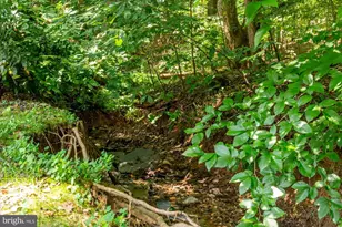 11308 Stonehouse Pl, Potomac Falls, VA 20165 - Photo 68