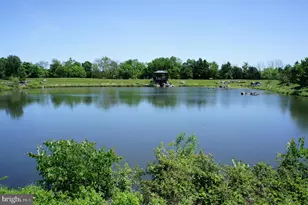 42540 Dreamweaver, Ashburn, VA 20148 - Photo 46