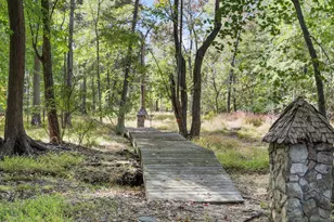 19935 Foggy Bottom Rd, Bluemont, VA 20135 - Photo 52