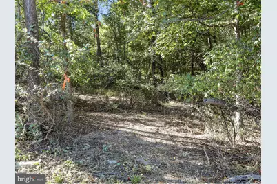 19935 Foggy Bottom Road, Bluemont, VA 20135 - Photo 56