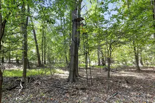 19935 Foggy Bottom Rd, Bluemont, VA 20135 - Photo 54