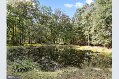 19935 Foggy Bottom Road, Bluemont, VA 20135 - Photo 50