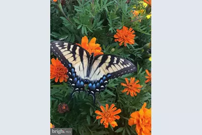 40925 Arcadian Pond Court, Aldie, VA 20105 - Photo 60