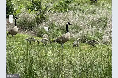 40925 Arcadian Pond Court, Aldie, VA 20105 - Photo 78