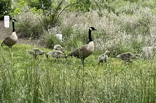 40925 Arcadian Pond Ct, Aldie, VA 20105 - Photo 78