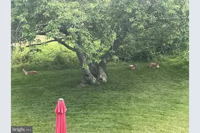 40925 Arcadian Pond Court, Aldie, VA 20105 - Photo 58