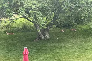 40925 Arcadian Pond Ct, Aldie, VA 20105 - Photo 58