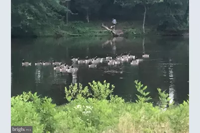 40925 Arcadian Pond Court, Aldie, VA 20105 - Photo 66