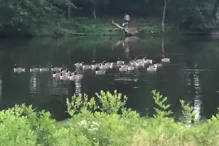 40925 Arcadian Pond Ct, Aldie, VA 20105 - Photo 66