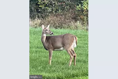 40925 Arcadian Pond Court, Aldie, VA 20105 - Photo 80