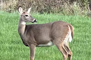 40925 Arcadian Pond Ct, Aldie, VA 20105 - Photo 80