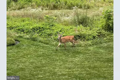 40925 Arcadian Pond Court, Aldie, VA 20105 - Photo 88