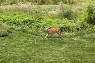 40925 Arcadian Pond Ct, Aldie, VA 20105 - Photo 88