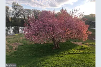 40925 Arcadian Pond Court, Aldie, VA 20105 - Photo 62