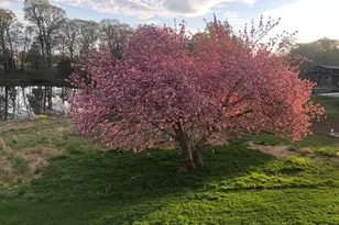 40925 Arcadian Pond Ct, Aldie, VA 20105 - Photo 62