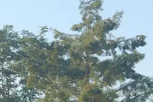 40925 Arcadian Pond Ct, Aldie, VA 20105 - Photo 68