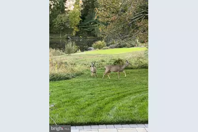 40925 Arcadian Pond Court, Aldie, VA 20105 - Photo 76