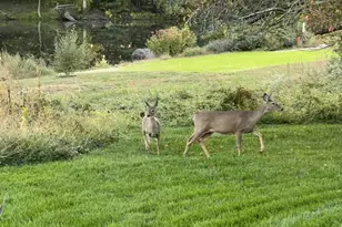 40925 Arcadian Pond Ct, Aldie, VA 20105 - Photo 76