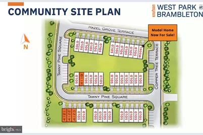 22885 Tawny Pine Sqr, Ashburn, VA 20148 - Photo 10