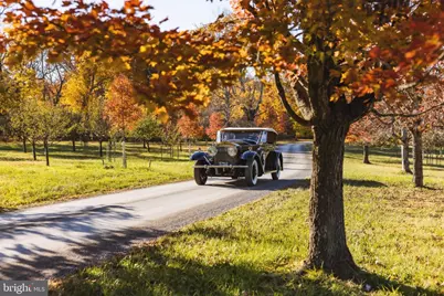 21846 Trappe Road, Upperville, VA 20184 - Photo 6