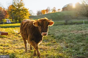 21846 Trappe Rd, Upperville, VA 20184 - Photo 46