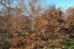 19385 Cypress Ridge Terrace, Leesburg, VA 20176 - Photo 20