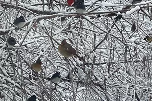 15700 Trapshire Ct, Waterford, VA 20197 - Photo 132